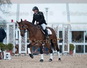 Novella del Castegno Tosc Tour2013- S5 1880 : Arezzo, Cavalli d'Italia, Novella del Castegno, Toscana Tour 2013, foto di Stefano Secchi ©